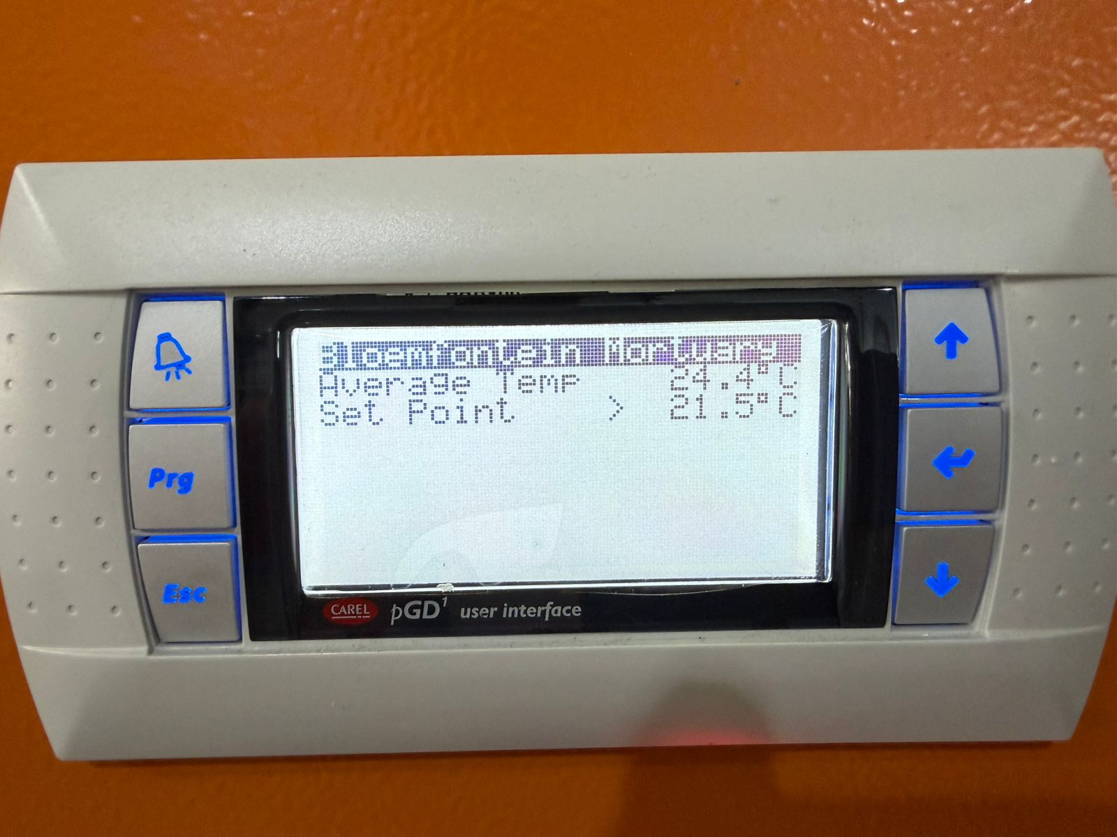 WhatsApp Image 2026-02-02 at 13.44.53 (1)